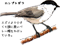 �n�V�u�g�K��