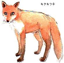 �L�^�L�c�l