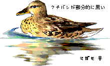 �}�K����