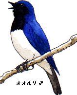 �I�I����