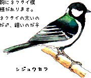 �V�W���E�J��