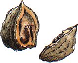 ���ꂽ�N���~