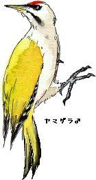 ���}�Q��