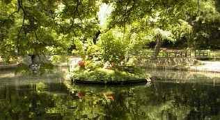 �~�R�����̒r�̎ʐ^