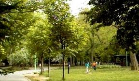 �~�R�����̎ʐ^1