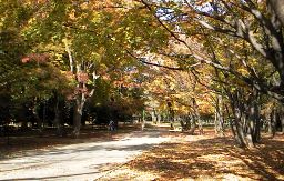 �~�R�����̎ʐ^2