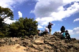 �~�R����̎ʐ^