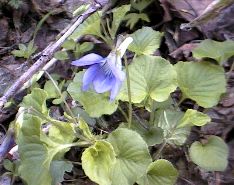 �I�I�^�`�c�{�X�~���̎ʐ^