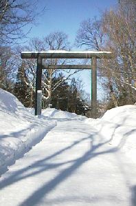 �~�̒����̎ʐ^